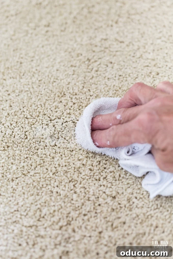 Banish Unsightly Carpet Stains for Good 13 Clever carpet and rug stain removal hack for pristine carpets