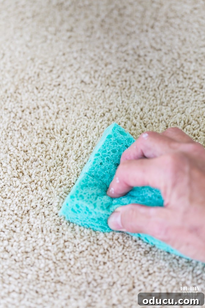 Unlock the Secret to Spotless Carpets 12 Carpet and rug stain removal trick: repeating and rinsing