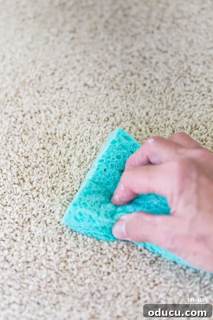 Banish Unsightly Carpet Stains for Good 14 Effective carpet and rug stain removal trick for a flawless finish