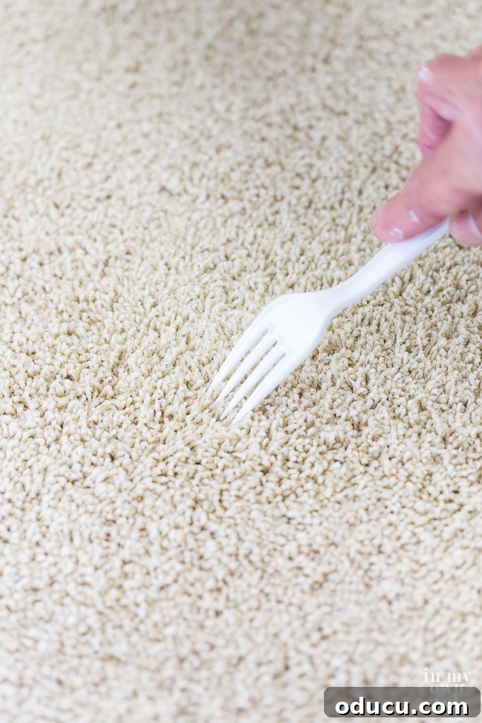 Unlock the Secret to Spotless Carpets 14 DIY tip to make a spot cleaned carpet look like new using a fork