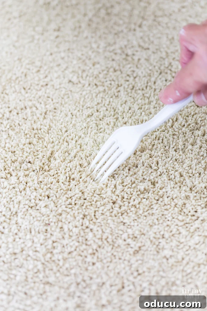 Banish Unsightly Carpet Stains for Good 16 Ingenious DIY tip to make spot-cleaned carpet look perfectly new