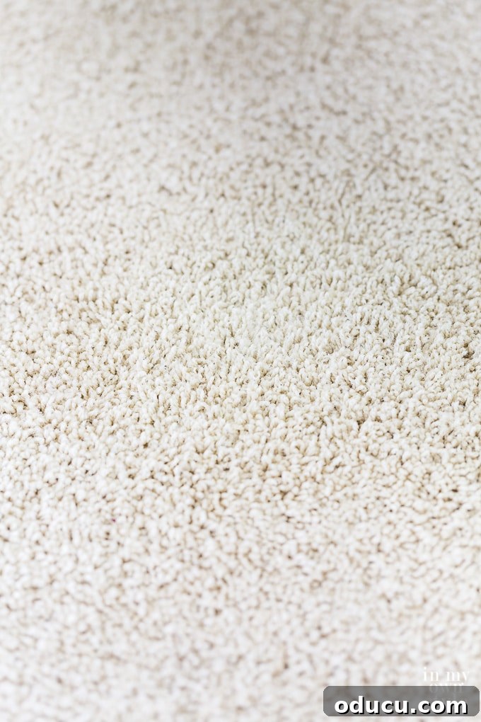 Unlock the Secret to Spotless Carpets 15 DIY tip to make a spot cleaned carpet look like new by fluffing