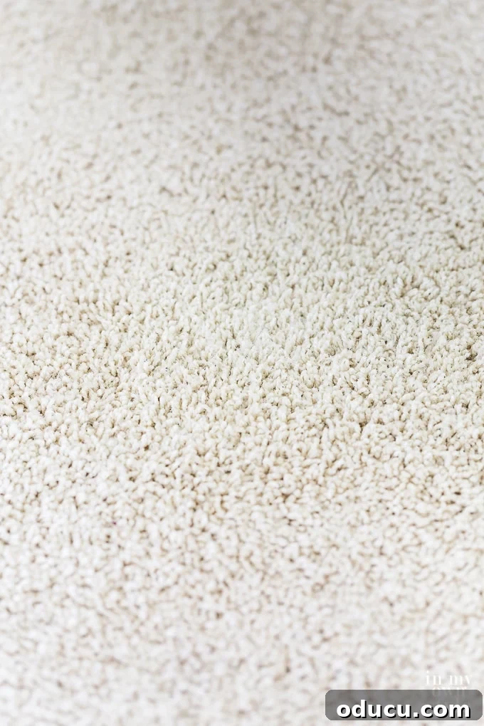 Banish Unsightly Carpet Stains for Good 17 A brilliant DIY tip: Restore spot-cleaned carpet to its original look