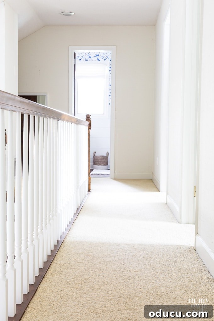 Unlock the Secret to Spotless Carpets 16 DIY tip to make a spot cleaned carpet look like new in a hallway