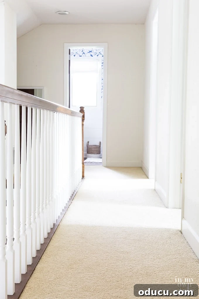 Banish Unsightly Carpet Stains for Good 18 Effective DIY tip to make spot-cleaned carpet appear brand new