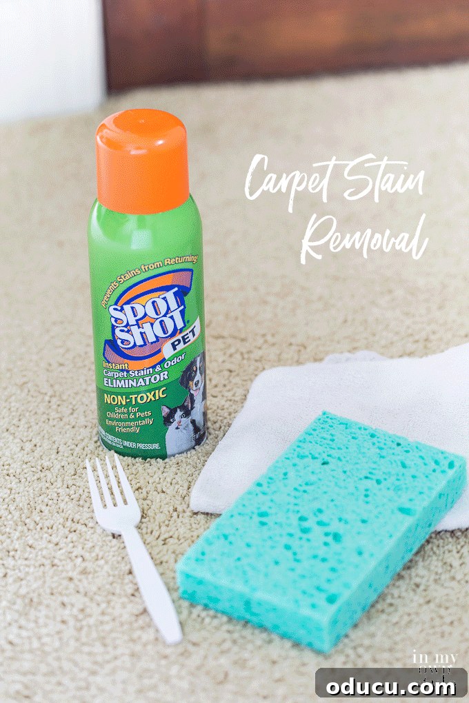 Unlock the Secret to Spotless Carpets 17 Carpet-and-rug-spot-cleaning-tips animated