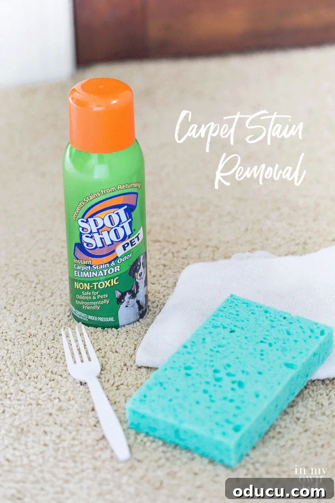 Banish Unsightly Carpet Stains for Good 19 Expert carpet and rug spot cleaning tips for every homeowner