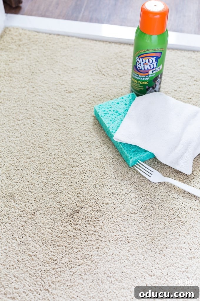 Banish Unsightly Carpet Stains for Good 20 Achieve a brand new look: DIY tip for spot-cleaned carpet