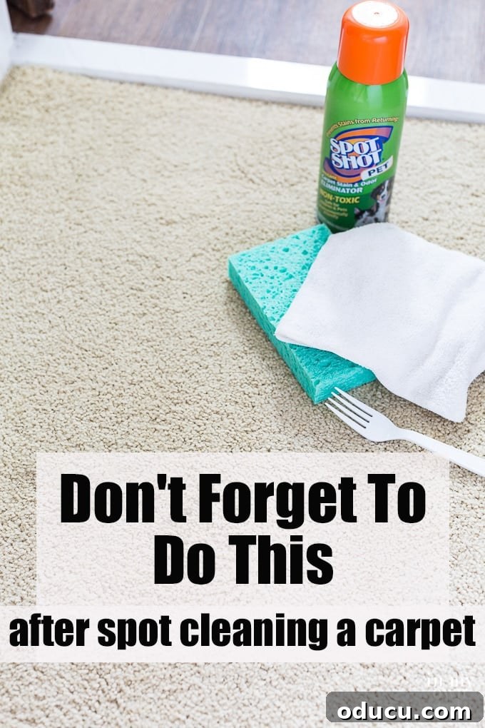 Banish Unsightly Carpet Stains for Good 21 Try this DIY tip: Transform spot-cleaned carpet to look flawless