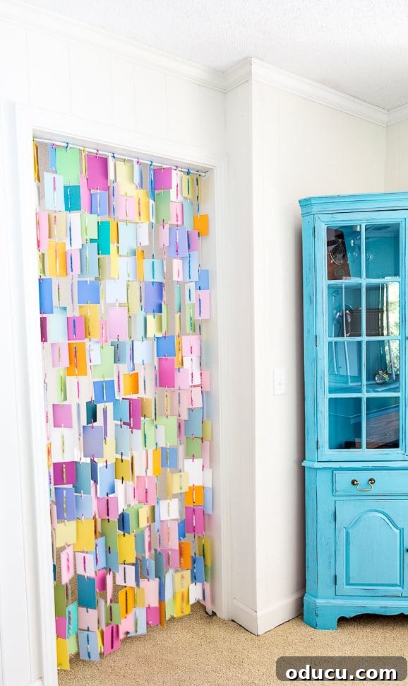 Unlock the Secret to Spotless Carpets 6 Paint chip doorway curtain for a room without a door