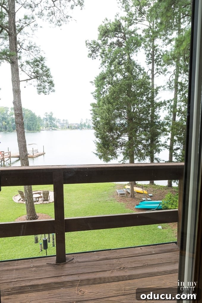 Banish Unsightly Carpet Stains for Good 7 Serene lake view from a multi-purpose room, balancing light and shade
