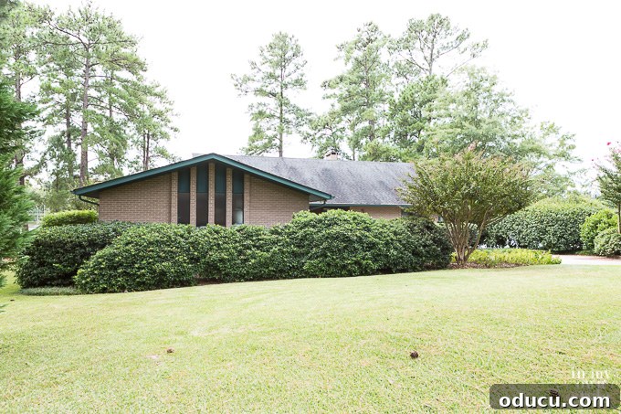 Essential But Unenjoyable 6 Space Created After Overgrown Shrub Clearance - Enhancing Home Exterior