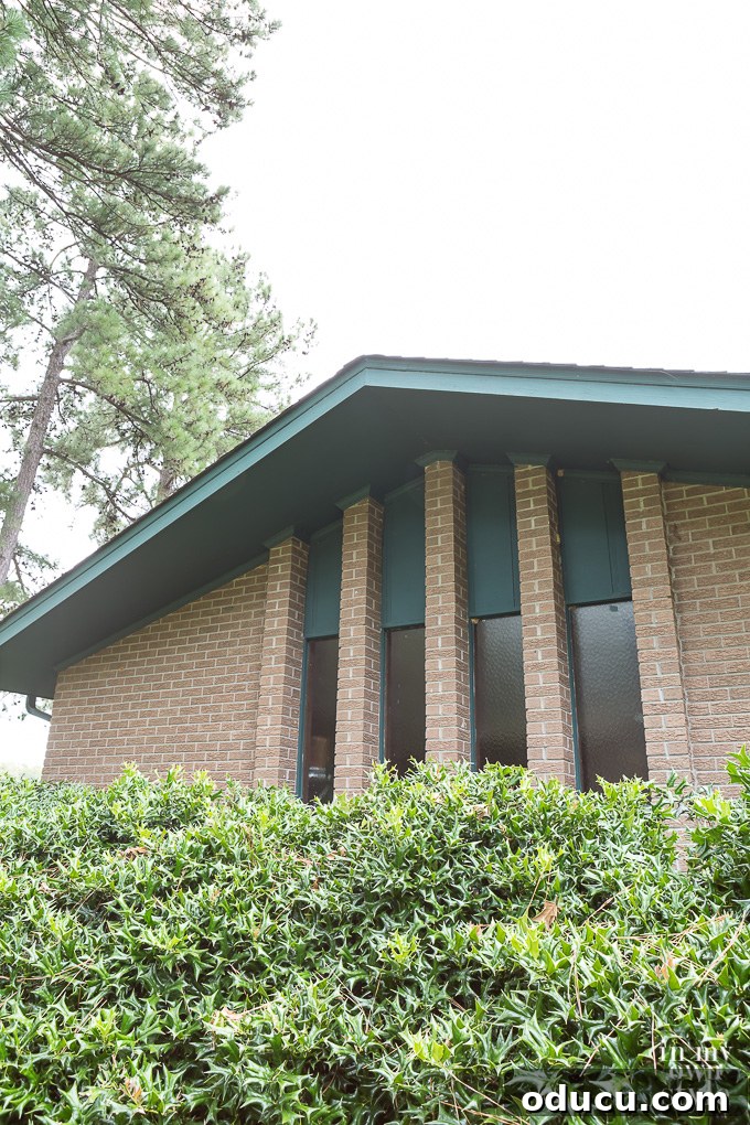 Essential But Unenjoyable 7 Revealing Vertical Glass Windows After Holly Bush Removal