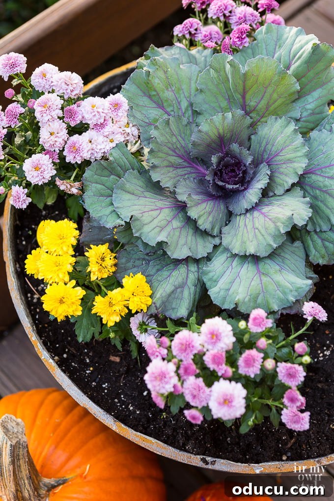 Falling for Our Home: An Autumn Showcase 2 What are the best Fall-flowers-to-plant-in-planters?