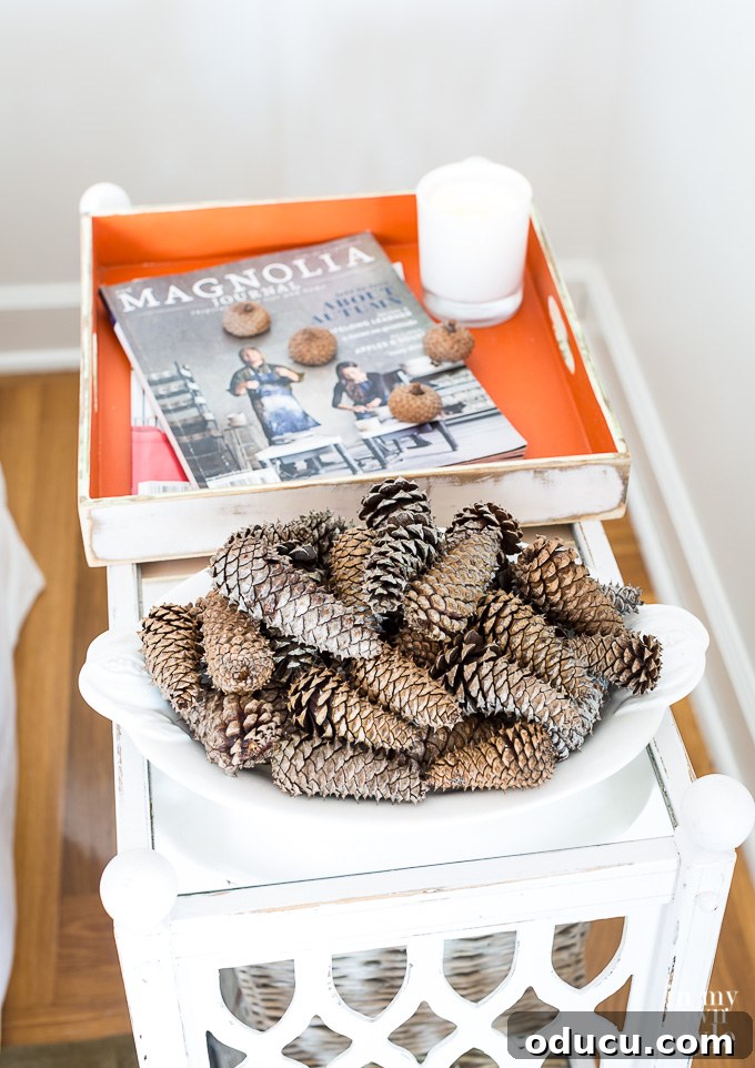 Falling for Our Home: An Autumn Showcase 8 Inexpensive Fall Decorating ideas using pinecones and items around your home.