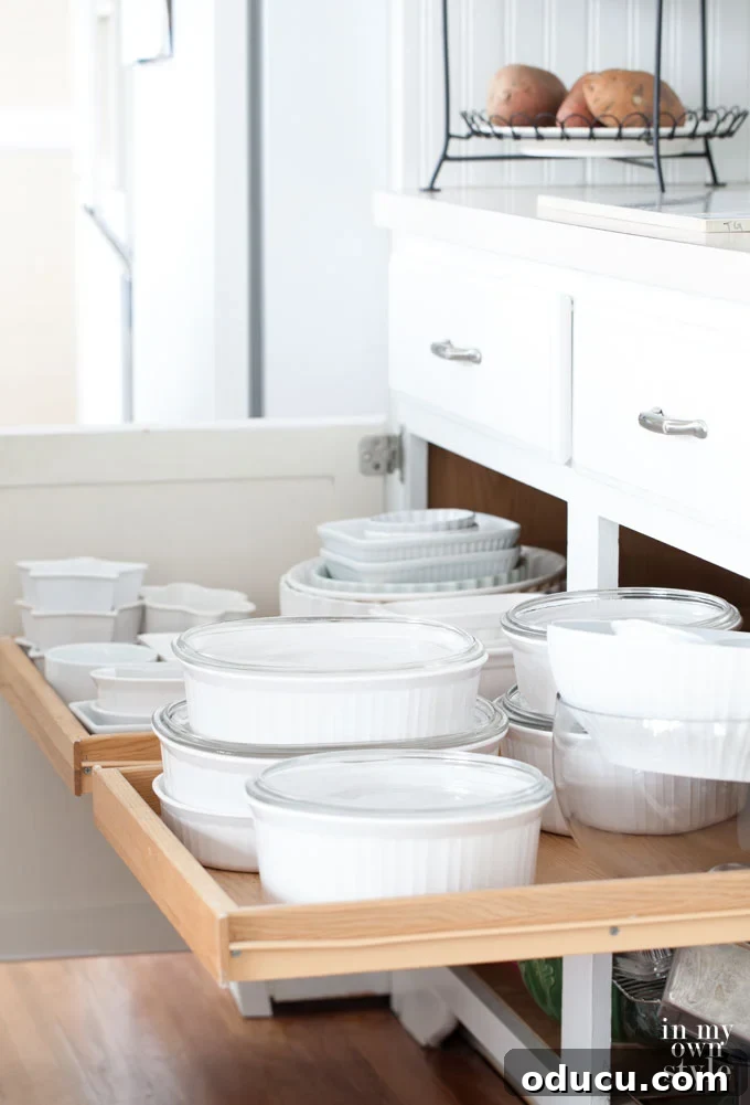 Ideas for organizing kitchen cabinets and drawers kitchen-cabinet-organizing-ideas