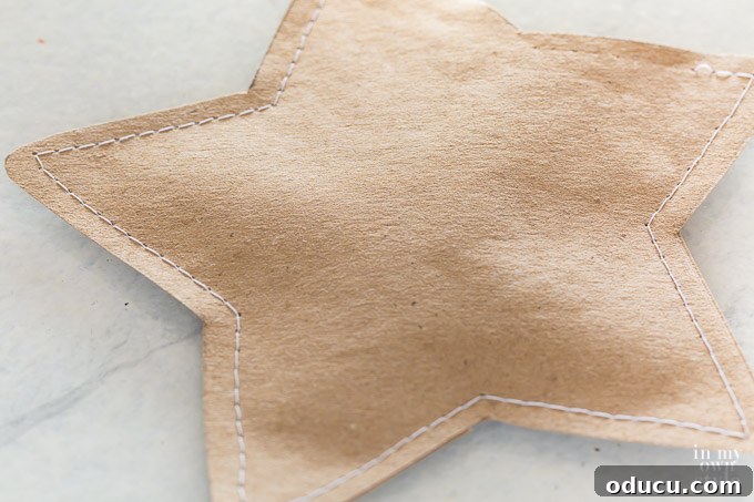 Hidden Treasure Star Ornament for Christmas 18 Filled star.