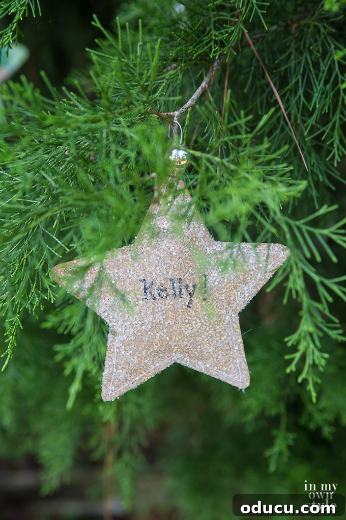 Hidden Treasure Star Ornament for Christmas 21 Glittered paper star Christmas ornament hanging on tree.