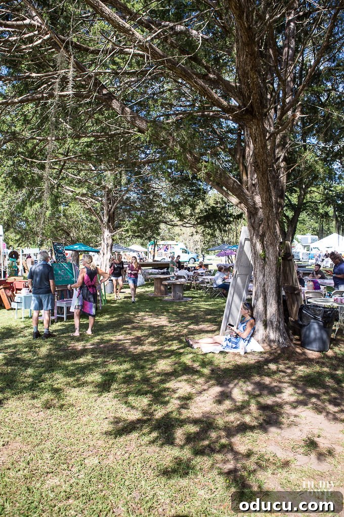 Rustic Riches: A French Flea Market Chronicle 3 My day at the French Country Flea Market in Tallahassee
