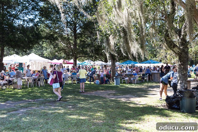 Rustic Riches: A French Flea Market Chronicle 4 Vendor area at the French Country flea market in Tallahassee, Florida showcasing various goods