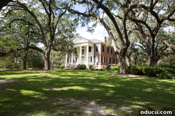 Rustic Riches: A French Flea Market Chronicle 48 The Grove Museum in Tallahassee Florida with grand Live Oaks