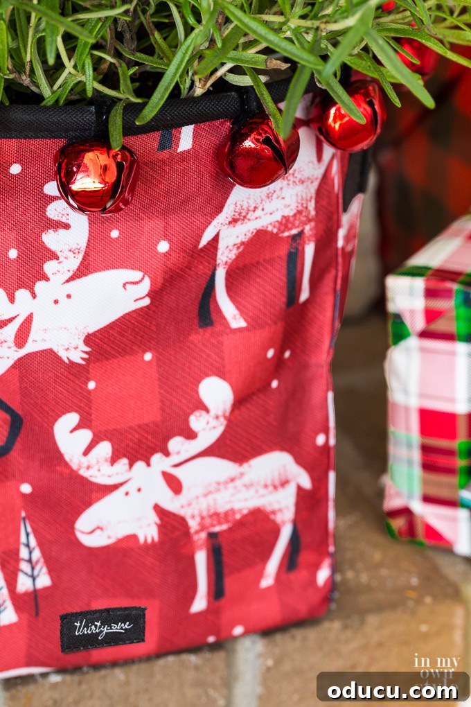 Holiday Gifting Reimagined 3 Nature-gifts-to-give-at-Christmas