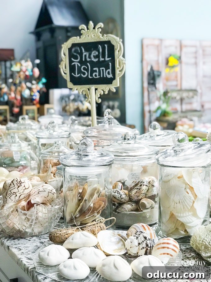 Panama City Beach Decor: Uncovering Coastal Gems 16 Beautiful shells for sale in Panama City Beach shops