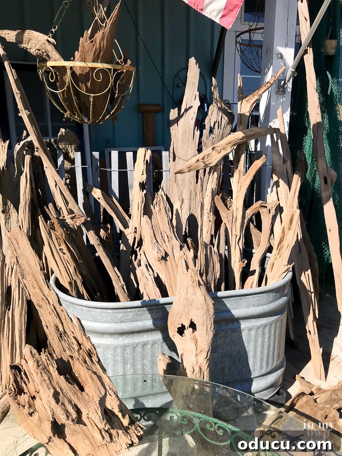 Panama City Beach Decor: Uncovering Coastal Gems 18 Driftwood for sale at Pieces in Panama City Beach, Florida - Unique coastal finds