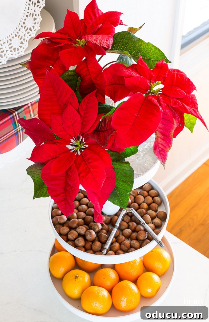 Inexpensive and edible Christmas decorating ideas.