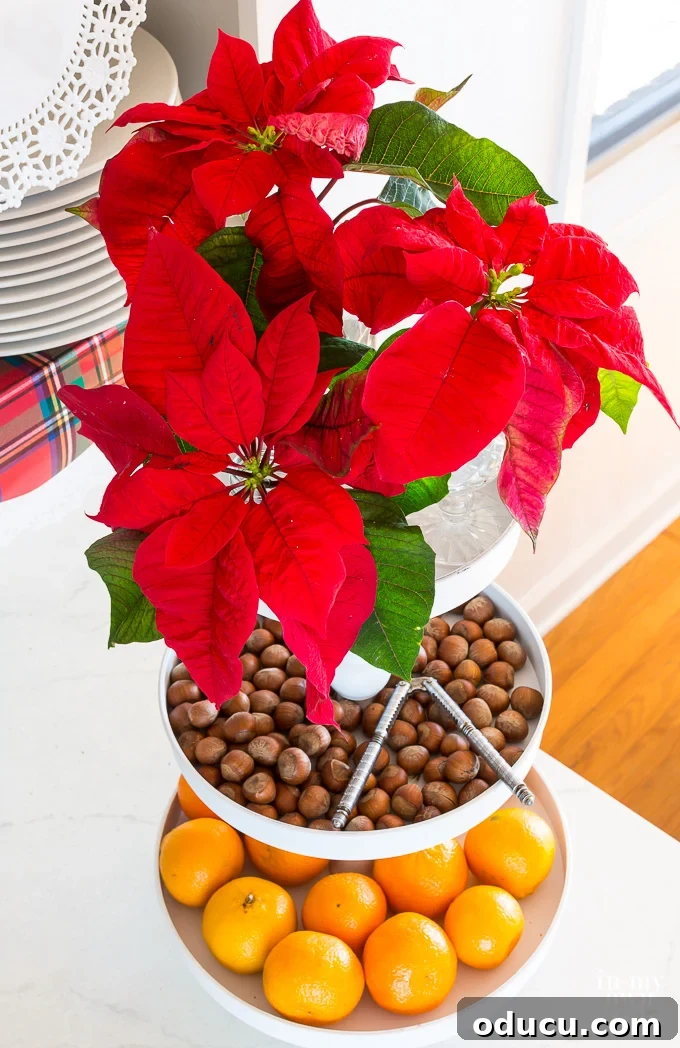 Inexpensive and edible Christmas decorating ideas.