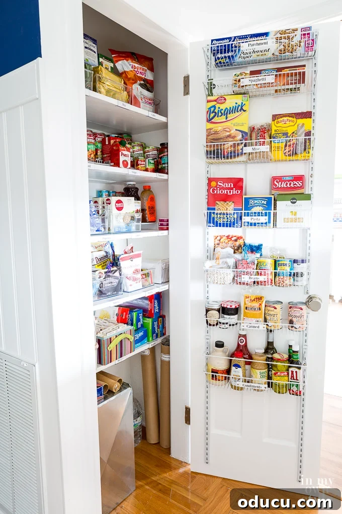 Pantry Closet Transformation 13 Overview of the transformed small pantry, showcasing organized shelves, bins, and a door rack