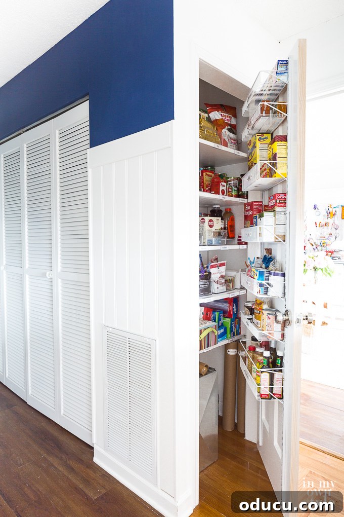 Pantry Closet Transformation 14 Close-up inside the organized pantry closet, showing the relationship between door rack shelves and fixed shelves