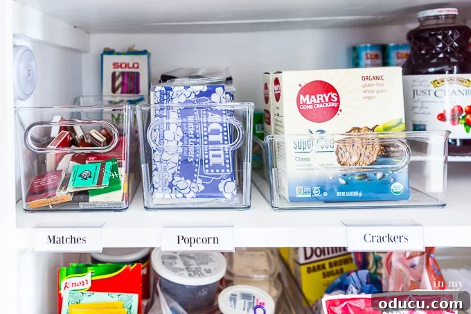 Pantry Closet Transformation 20 Overview of a neatly organized pantry shelf using clear bins and labels