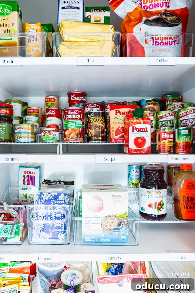 Pantry Closet Transformation 21 Three-tiered rack specifically designed for canned goods, allowing easy visibility of all items