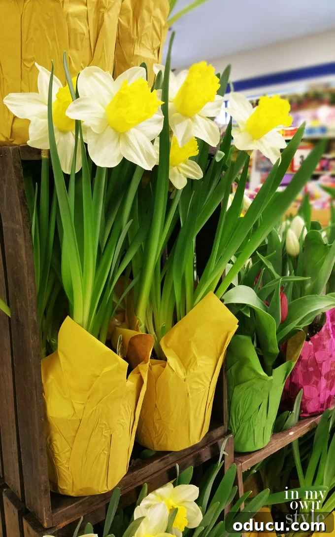 Friday Inspiration Roundup 2 Creative ways to gift wrap spring flower pots for an aesthetic touch