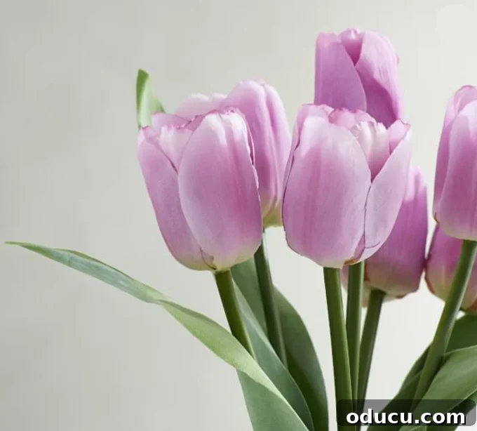 Mastering Faux Florals: Top 12 Decorating Secrets 18 Fake purple tulips from Pottery Barn