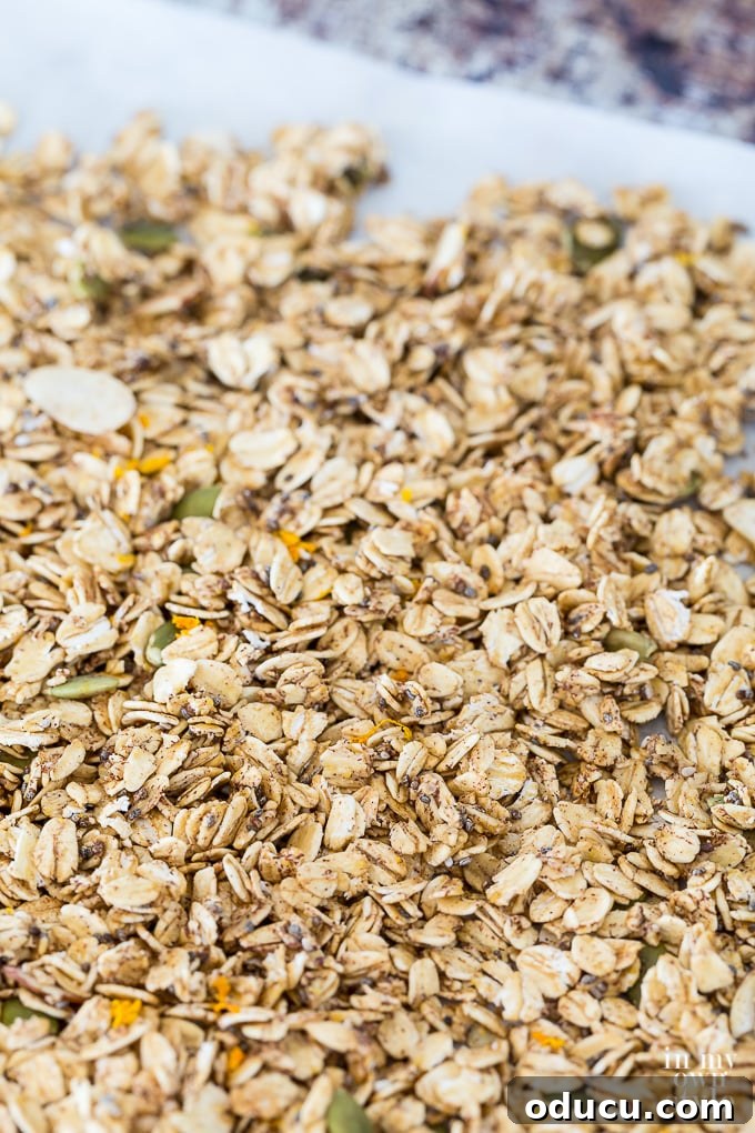 Light and Crunchy Fat-Free Granola 6 Weight Watchers Freestyle Non-Fat Granola Recipe just out of the oven.