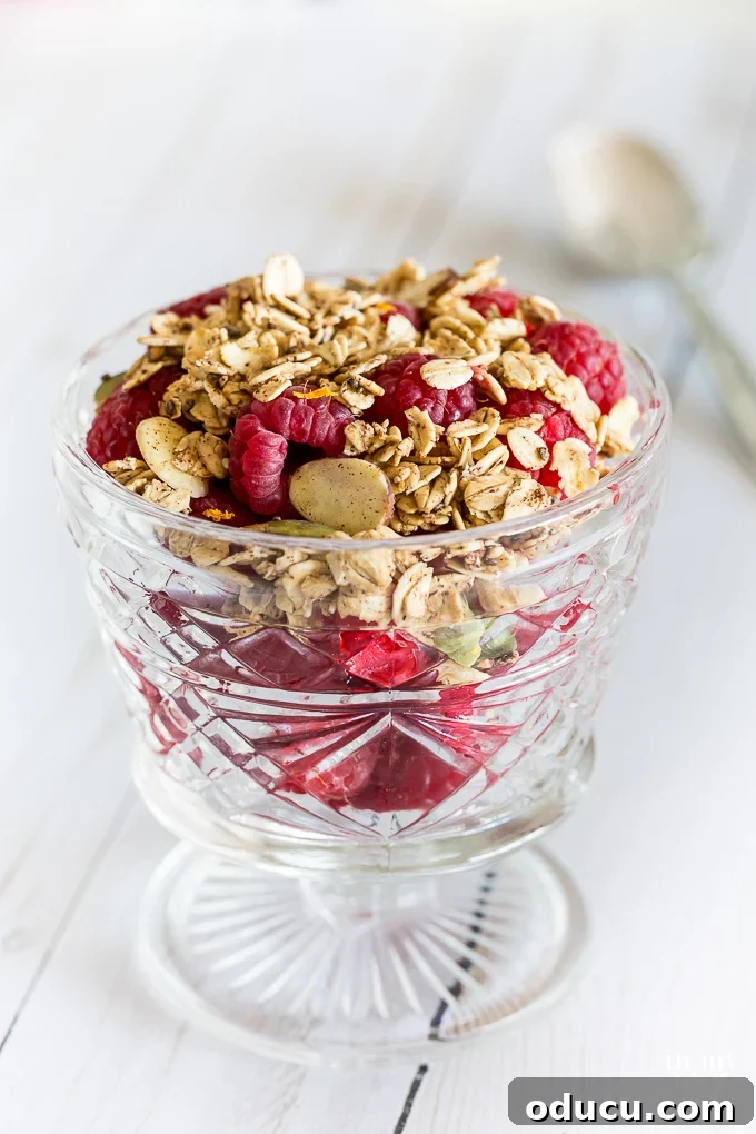 Light and Crunchy Fat-Free Granola 7 A dish full of Weight Watchers Freestyle Non-Fat Granola
