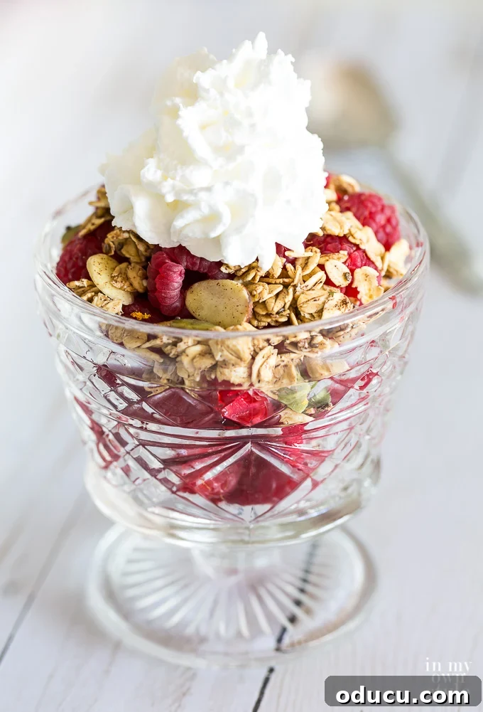 Light and Crunchy Fat-Free Granola 8 Weight Watchers Freestyle Non-Fat Granola Recipe with non fat whipped creme.
