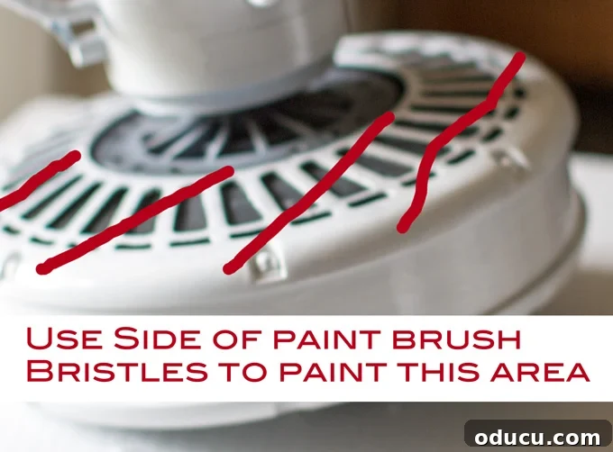 Refresh Your Ceiling Fan Smart Painting Hacks 12 how-to-paint-a-metal-ceiling-fan-the-easy-way