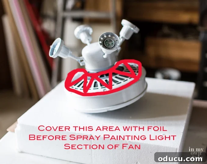 Refresh Your Ceiling Fan Smart Painting Hacks 9 Ceiling-fan-painting-tips-and-tricks-to-get-pro-painting-results