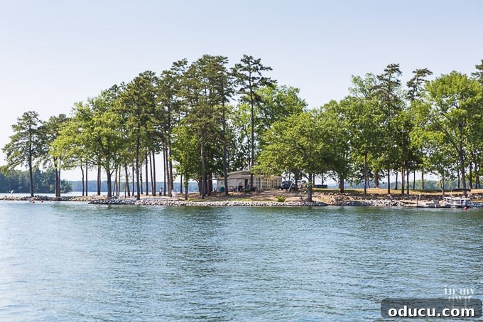 Idyllic Lakefront Retreats 13 Charming Old Lake Murray House - Small but Well-Maintained with Expansive Views
