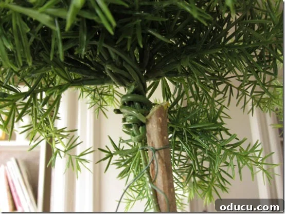 Craft Your Own Lifelike Topiary 13 Attaching the faux greenery ball to the tree branch using florist's wire.