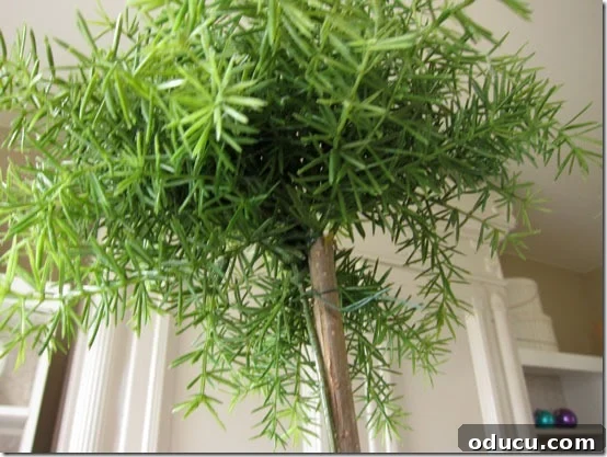 Craft Your Own Lifelike Topiary 14 Using small greenery snippets to fill in and conceal the base of the topiary ball.