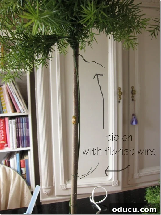 Craft Your Own Lifelike Topiary 17 Tying additional florist's wire along the branch to secure the topiary stem.
