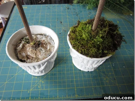 Craft Your Own Lifelike Topiary 4 Placing and securing the foam block inside the planter for the topiary base.