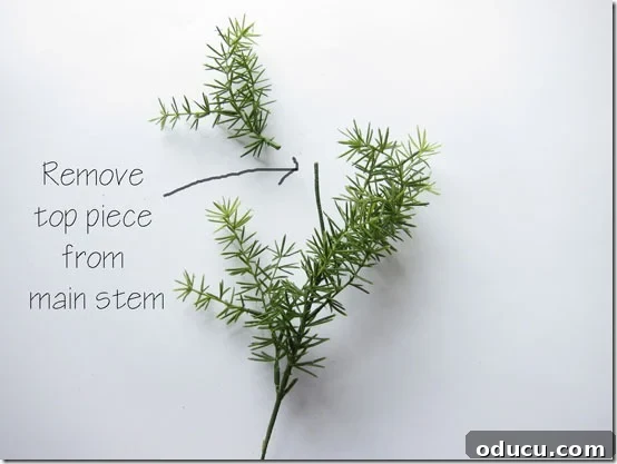 Craft Your Own Lifelike Topiary 7 Removing the small top pieces of greenery from each artificial stem.