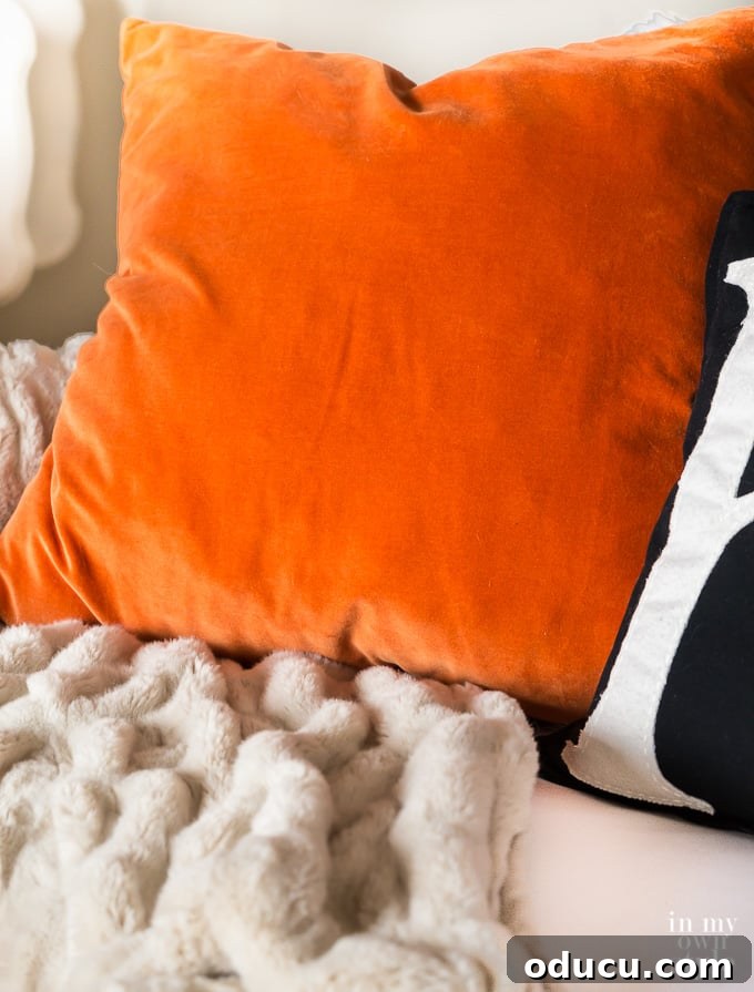 Effortless Fall Comfort: Cozy Decorating Ideas for Your Home 9 Orange Velvet pillow on sofa for fall decor