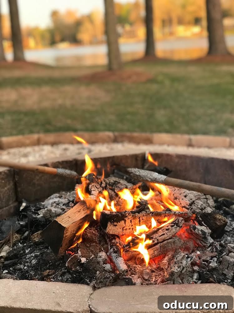 Close-up view of DIY marshmallow roasting forks in use over an outdoor fire pit, showing a marshmallow being perfectly toasted. Learn how to make these simple, durable roasting sticks for campfire cooking and backyard gatherings.