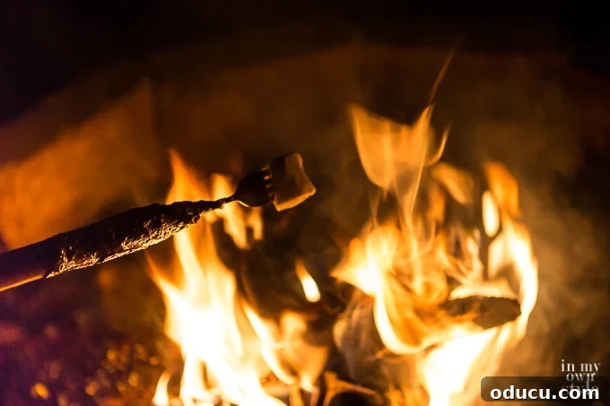 The Best Way to Roast a Marshmallow: Tips and Tricks for Perfect Golden S'mores Every Time A perfectly golden-brown marshmallow being expertly roasted over an outdoor fire pit using a DIY roasting fork, ready to be transformed into a delicious s'more. This image illustrates the ideal way to roast marshmallows.